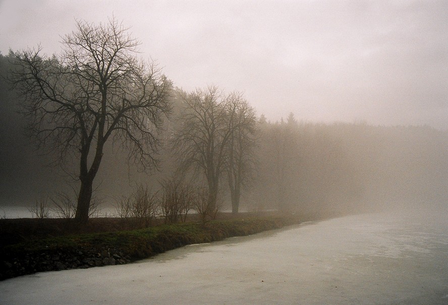 Mysticka zima v údolí Ponávky / Mystic winter in Ponávka valley