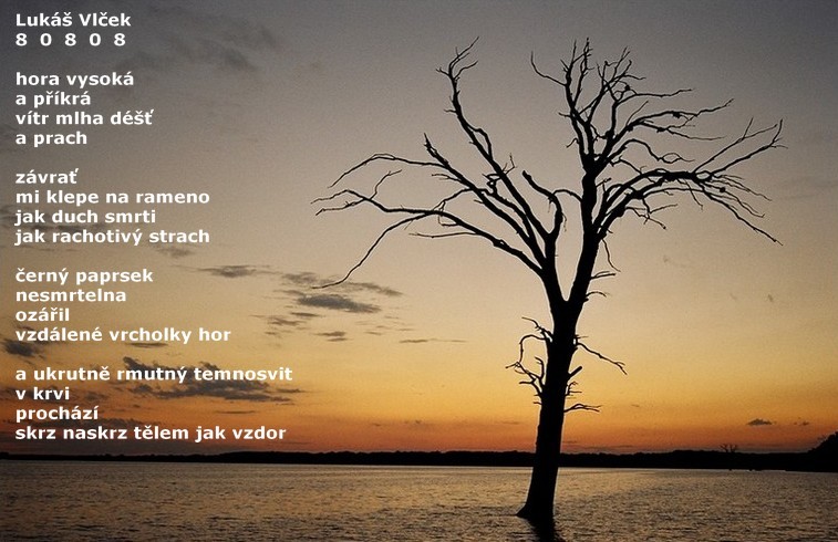 Báseň 80808 a Inkoustový strom / Poem 80808 and Ink tree