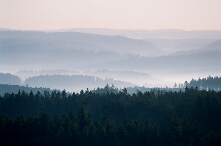 Mlha v krajině / Mist in landscape