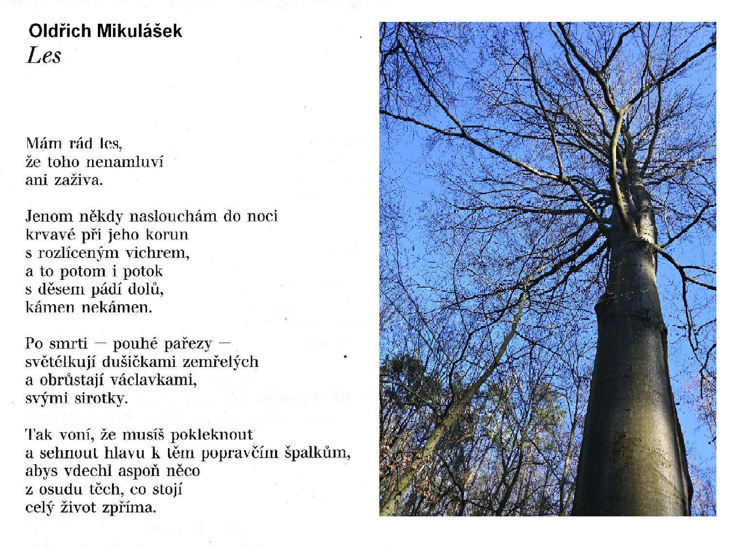 Les - Oldřich Mikulášek