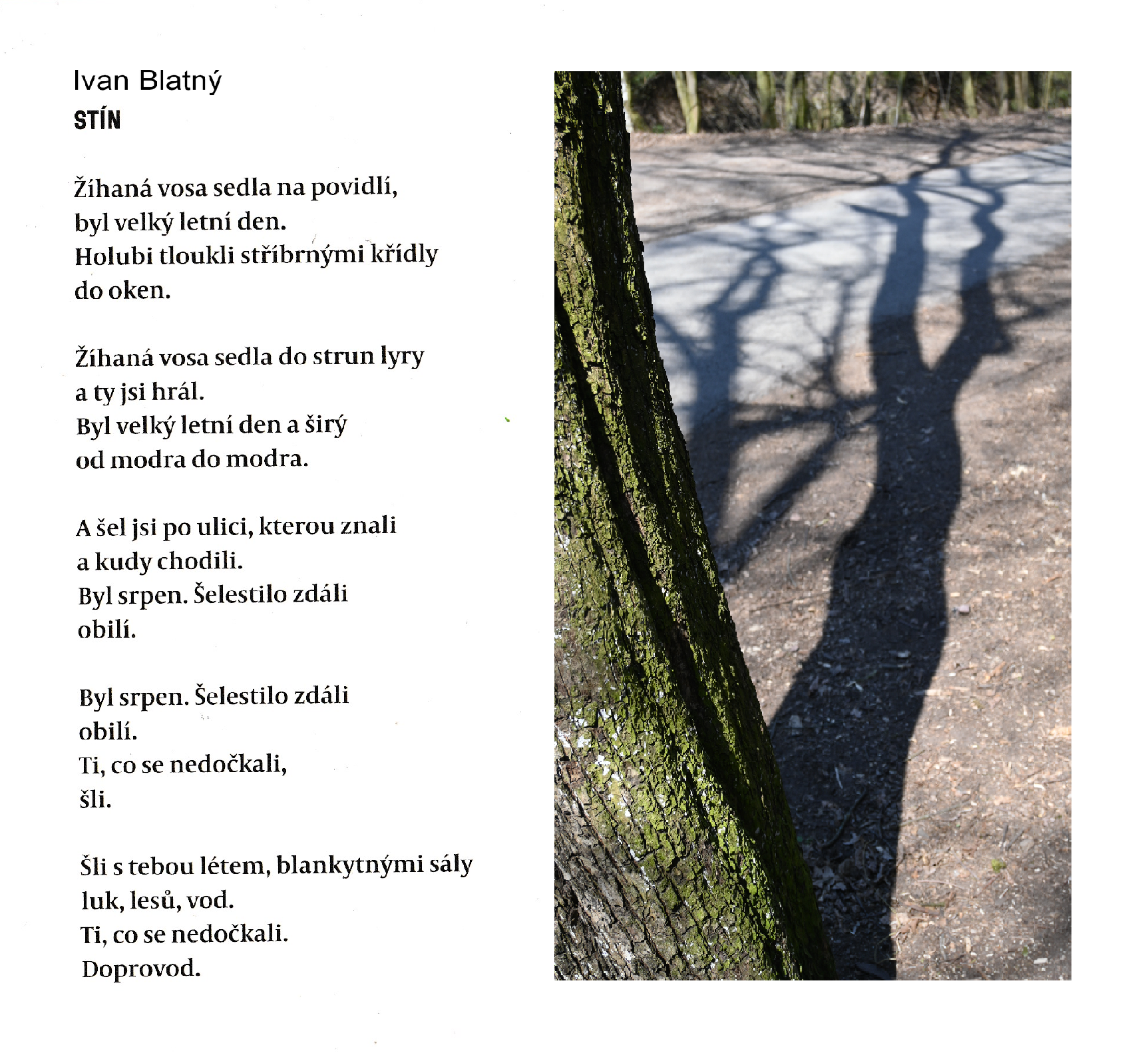 Stín - Ivan Blatný
