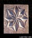 Osmicípá hvězdice z červencových Beskyd 2000 / Eight-pointed star from July Beskydy 2000