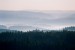 Mlha v krajině / Mist in landscape